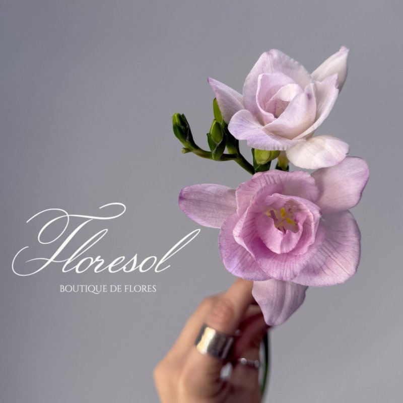 Floresol